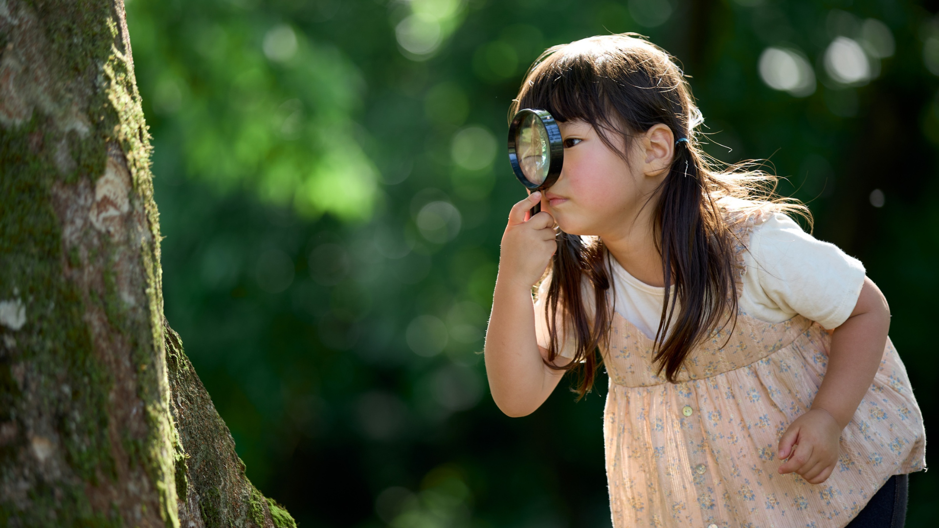 Crea tu propia biosfera en casa con kits