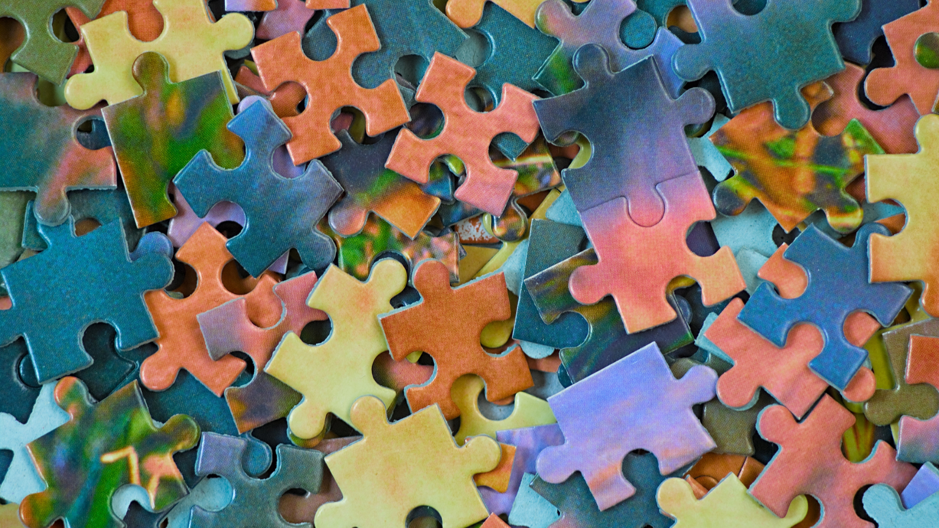 Guía de compra de puzzles para adultos